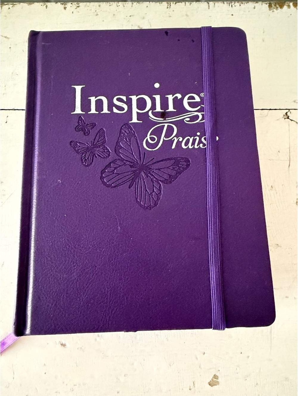 Inspire Praise Purple Bible with Illustrated Pages and Elastic Band Closure